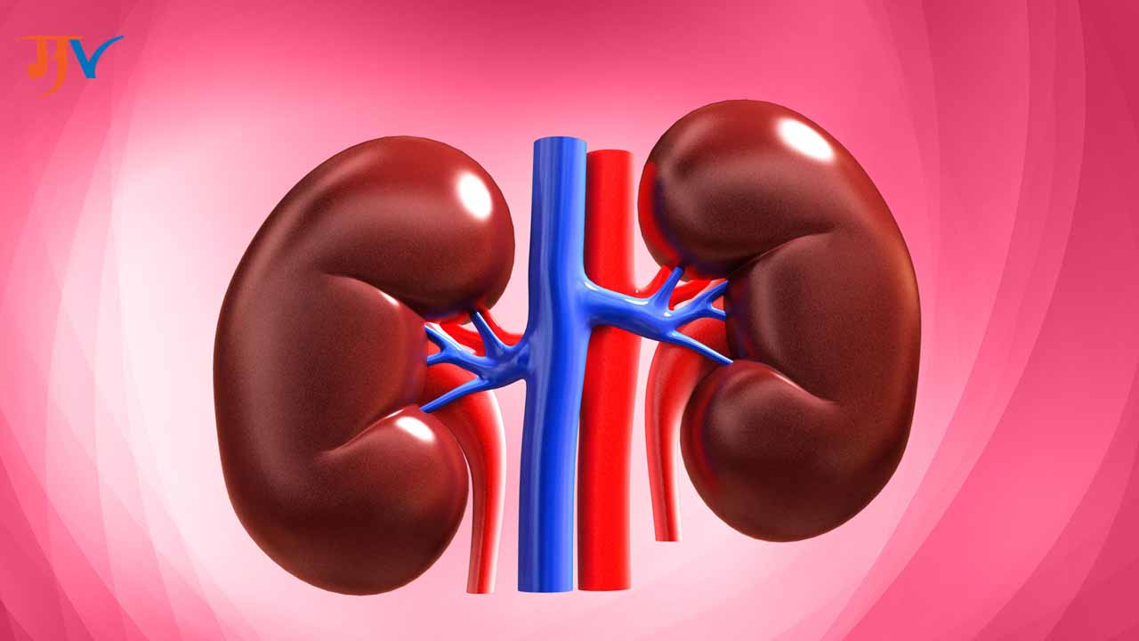 Kidney Information In Marathi 