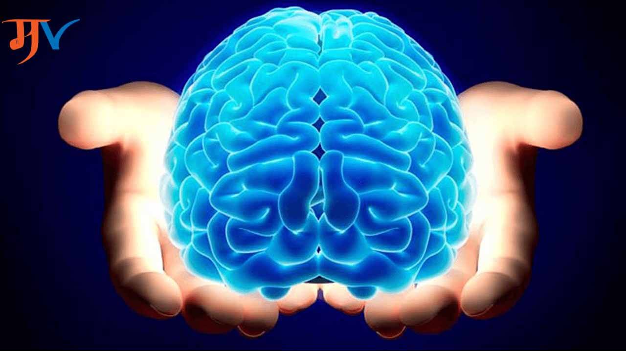 Information about Brain In Marathi