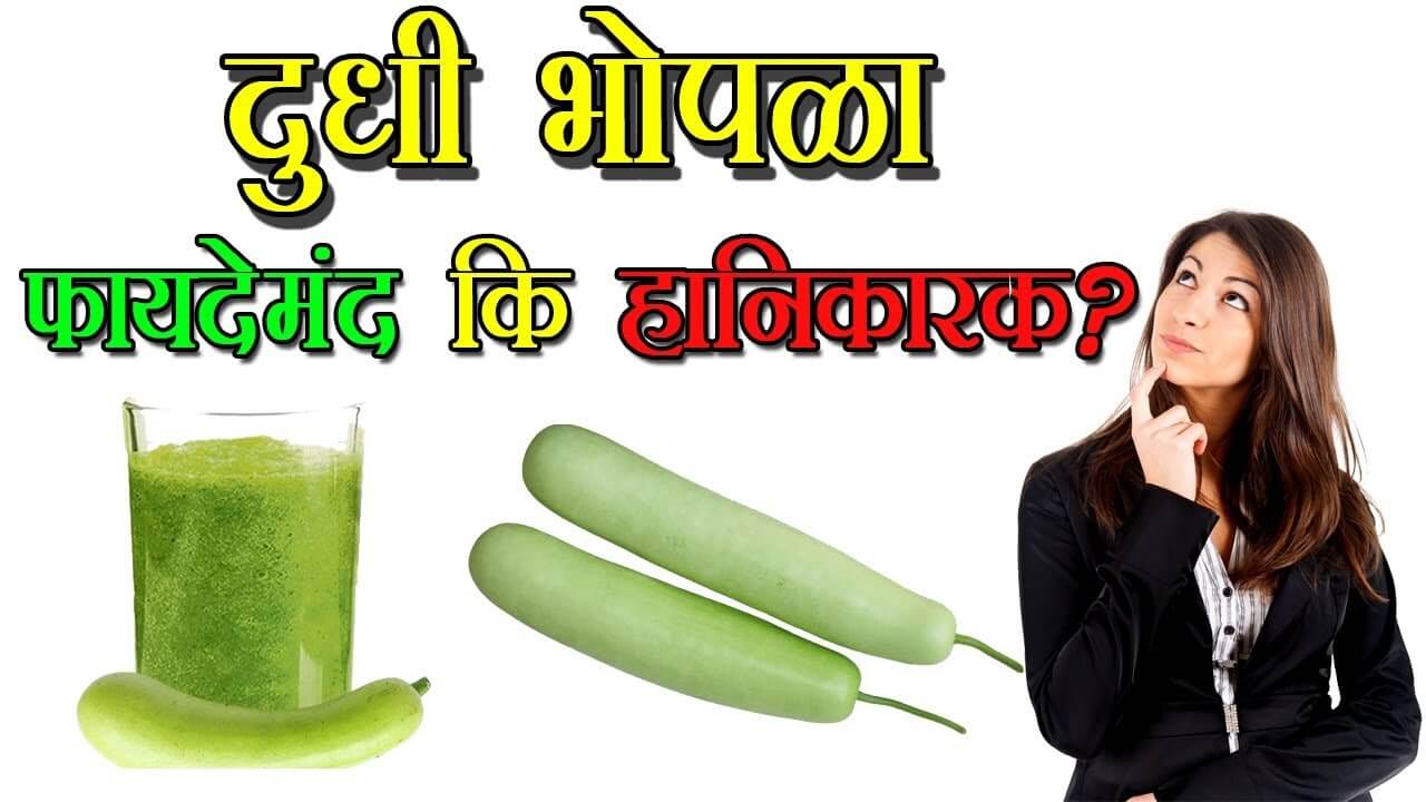 Benefits and Side Effects of Bottle Gourd Juice Marathi varsa