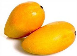 mango1 Marathi varsa